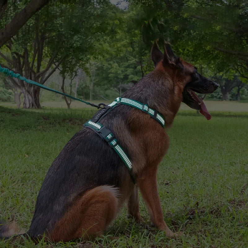 MeowVista Comfortable Adjustable H Shaped Dog Harness Reflective No Pull