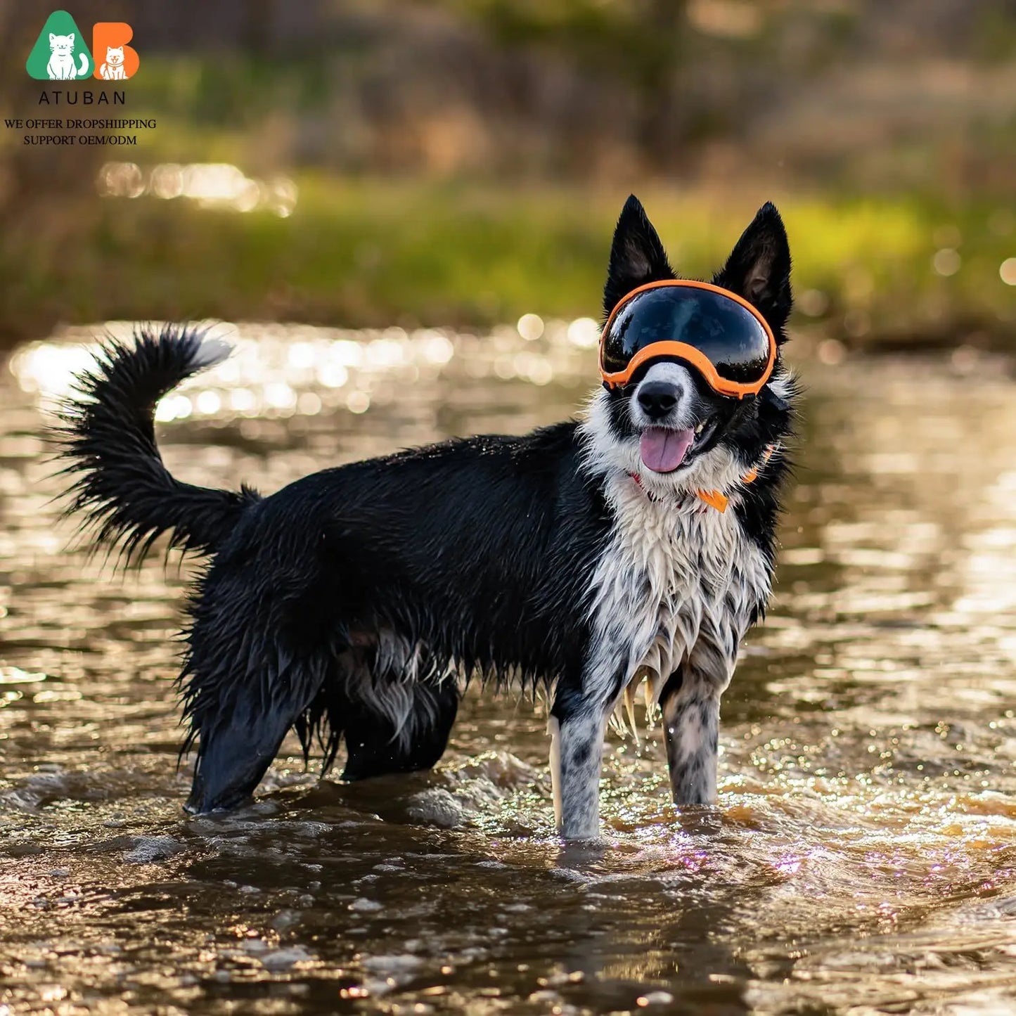 ATUBANCN Dog Goggles UV Protection Sunglasses with Adjustable Strap