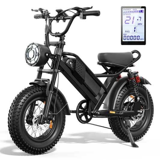 M6 1200W All Terrain Electric Bike With LED Display