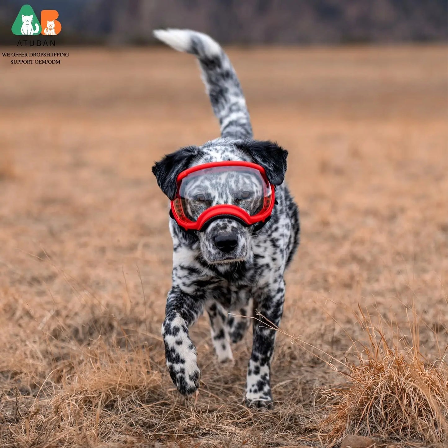 ATUBANCN Dog Goggles UV Protection Sunglasses with Adjustable Strap