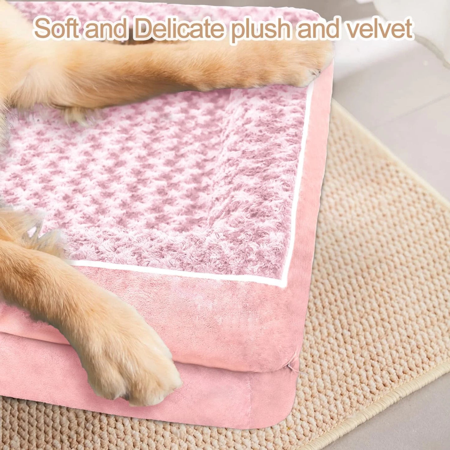 Jiangsu Dog Sofa Bed With Anti Slip Bottom Egg Foam
