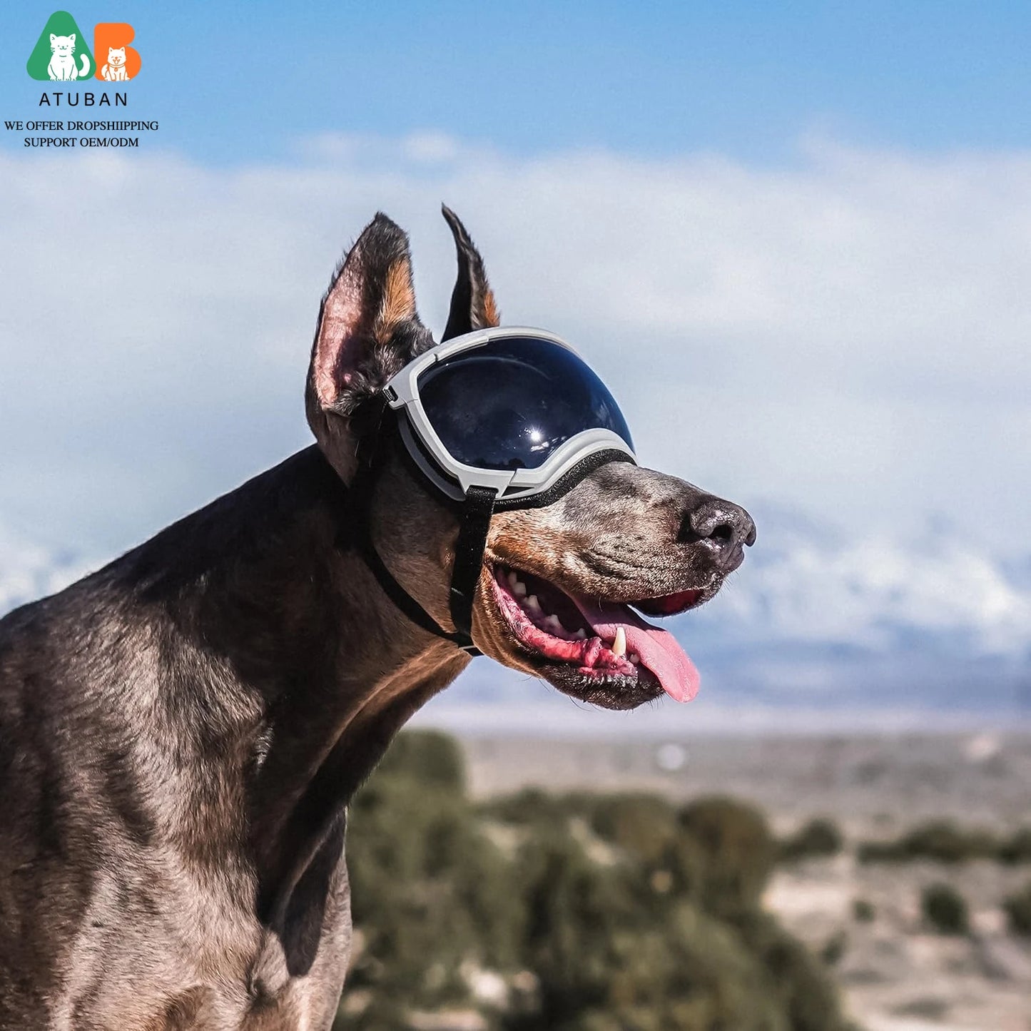 ATUBANCN Dog Goggles UV Protection Sunglasses with Adjustable Strap