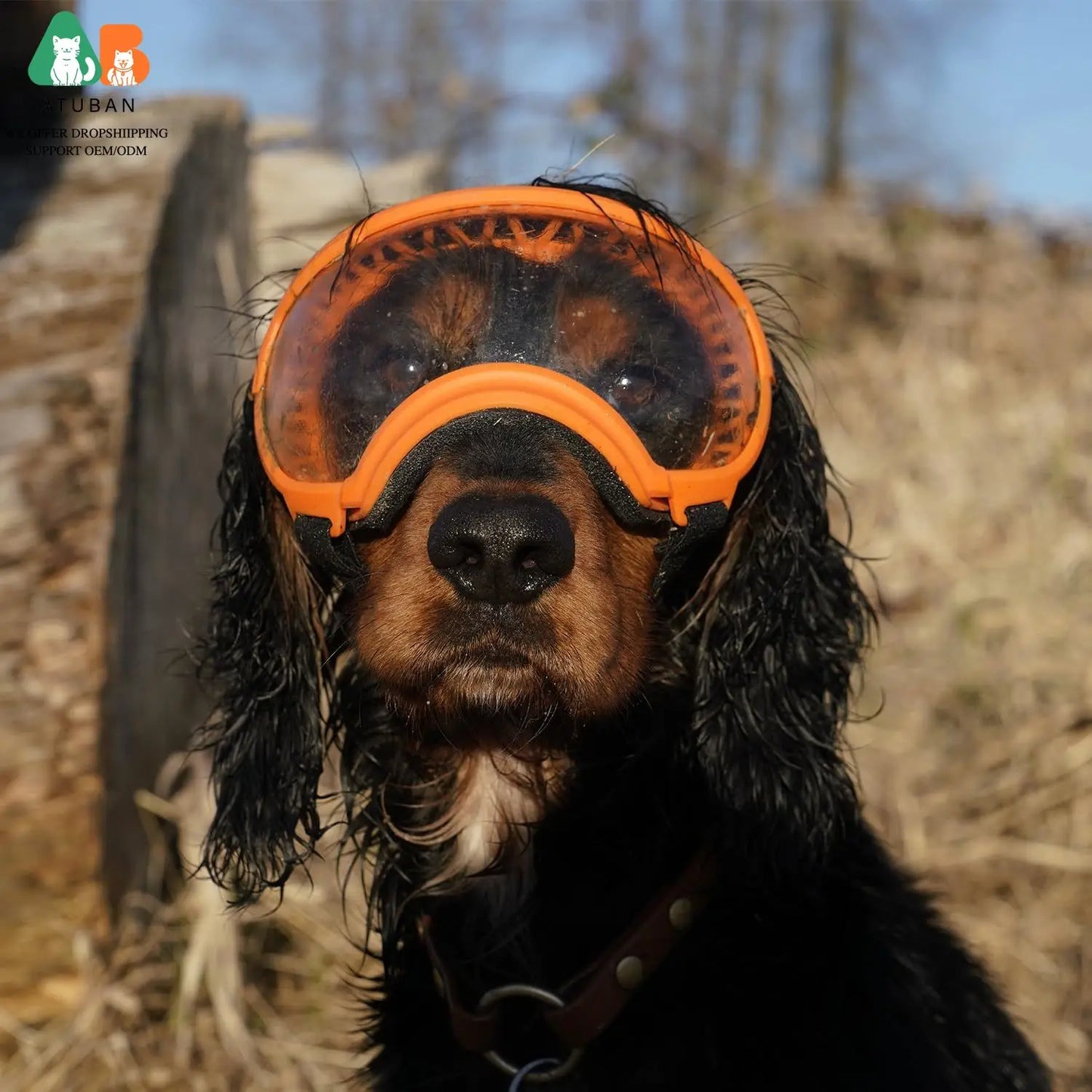 ATUBANCN Dog Goggles UV Protection Sunglasses with Adjustable Strap