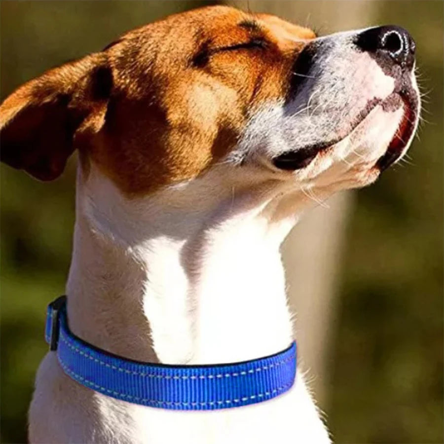 Reflective Padded Dog Collar Adjustable Breathable Safety Stripes