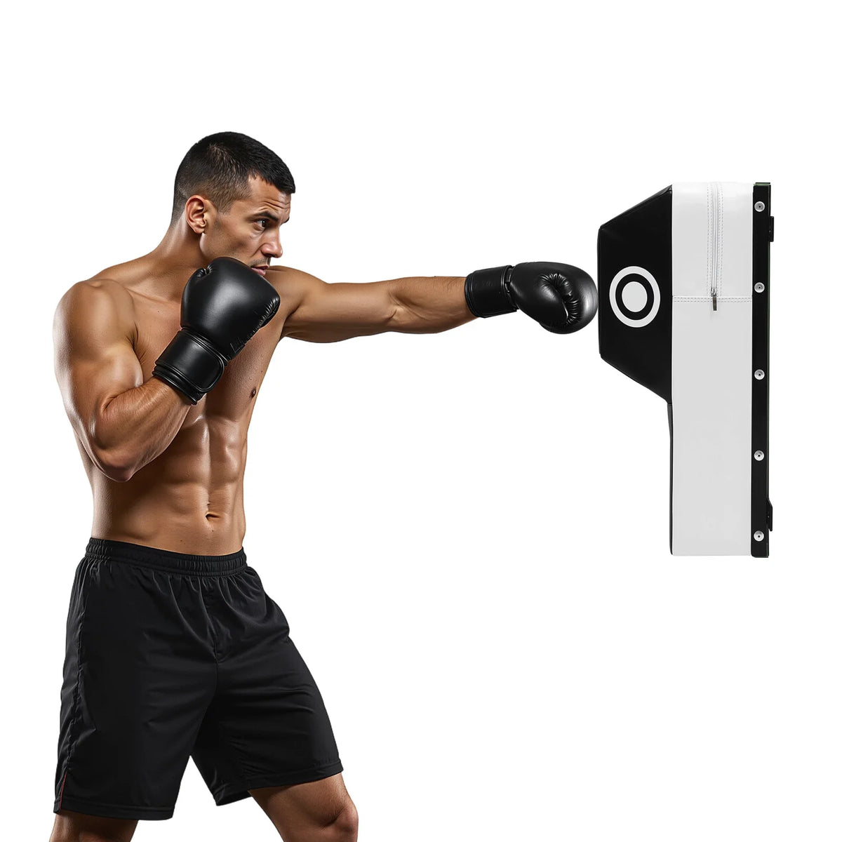 Wall Mounted Boxing Training Target With Steel Frame