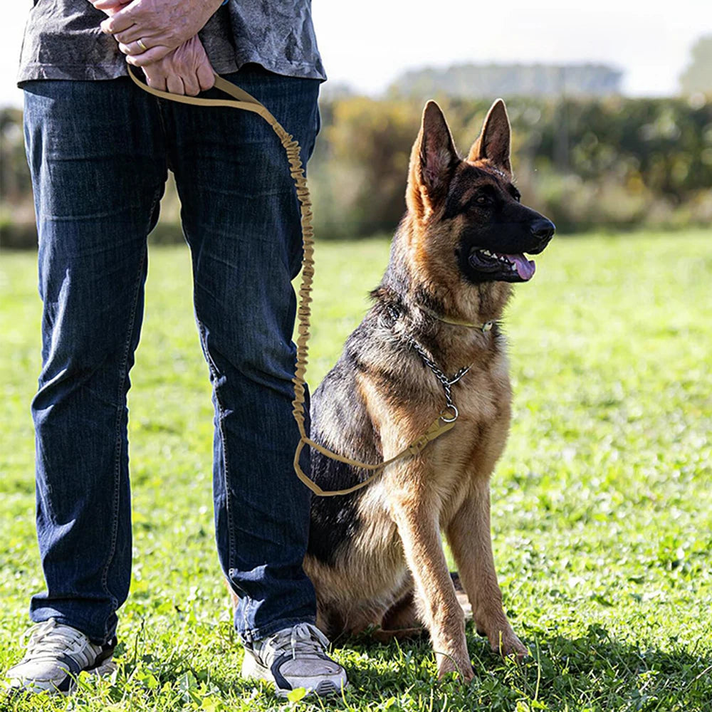 PETRAVELCN Military Dog Leash With Quick Release Elastic Rope And Dual Handles